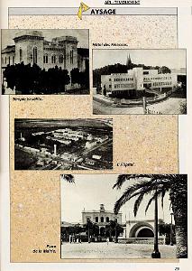 AIN TEMOUCHENT 014